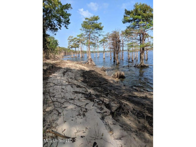 Lake Mary Acreage For Sale in Woodville Mississippi