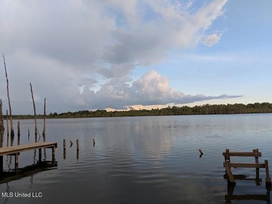 Pecan Grove Lakeshore, LLC owns multiple lots totaling approx - photo 3