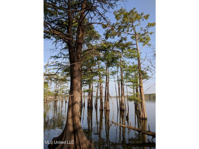 Pecan Grove Lakeshore, LLC owns multiple lots totaling approx - photo 4