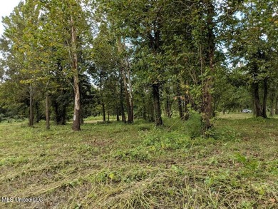 Pecan Grove Lakeshore, LLC owns multiple lots totaling approx - photo 5