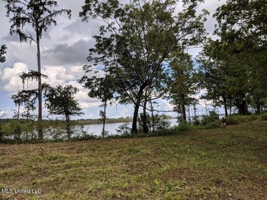 Pecan Grove Lakeshore, LLC owns multiple lots totaling approx - photo 6