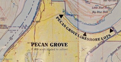 Pecan Grove Lakeshore, LLC owns multiple lots totaling approx - photo 7
