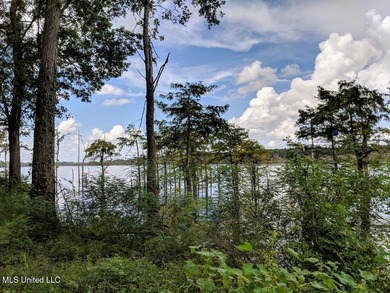Pecan Grove Lakeshore, LLC owns multiple lots totaling approx - photo 8