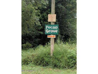 Pecan Grove Lakeshore, LLC owns multiple lots totaling approx - photo 9