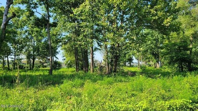 Pecan Grove Lakeshore, LLC owns multiple lots totaling approx - photo 10