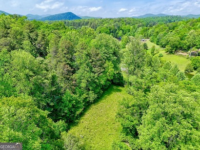 (private lake, pond, creek) Acreage For Sale in Tiger Georgia