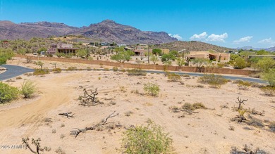 Build your dream home in the prestigious, guard-gated - photo 11