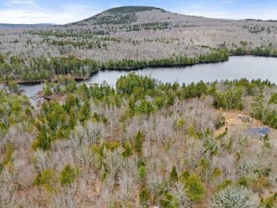 Lake Acreage For Sale in Blue Hill, Maine