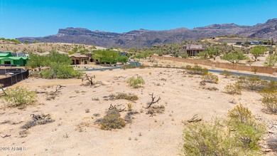 Build your dream home in the prestigious, guard-gated - photo 12