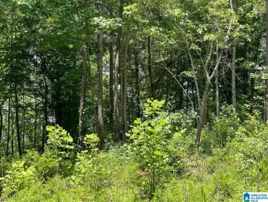 Tallapoosa River - Randolph County Lot For Sale in Wedowee Alabama