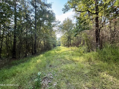 (private lake, pond, coastal) Acreage For Sale in Liberty Mississippi