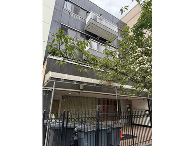 Prime Mixed-use property in the Heart of Flushing! Rare - photo 1