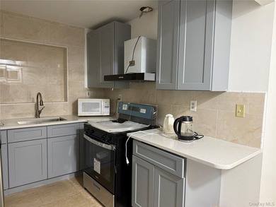 Prime Mixed-use property in the Heart of Flushing! Rare - photo 3