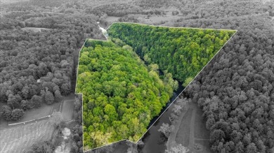 Lake Acreage For Sale in Pearisburg, Virginia