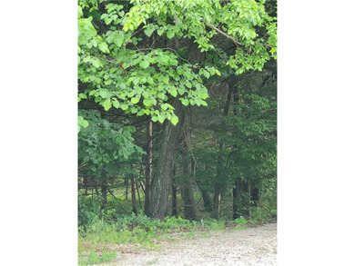 Are you looking for privacy, how about an oversized lot (70 X - photo 1