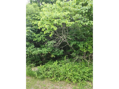 Are you looking for privacy, how about an oversized lot (70 X - photo 2