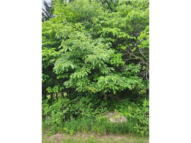 Are you looking for privacy, how about an oversized lot (70 X - photo 4