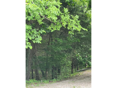 Are you looking for privacy, how about an oversized lot (70 X - photo 5