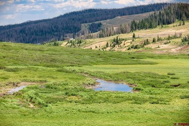 South Fork Rio Grande River Acreage For Sale in South Fork Colorado