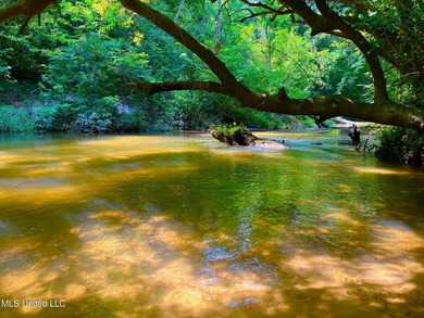 Lake Acreage For Sale in Sandy Hook, Mississippi