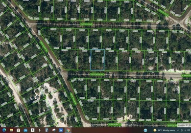 Lake Grassy Lot For Sale in Lake Placid Florida