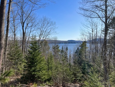 Penobscot River - Waldo County Acreage For Sale in Bucksport Maine