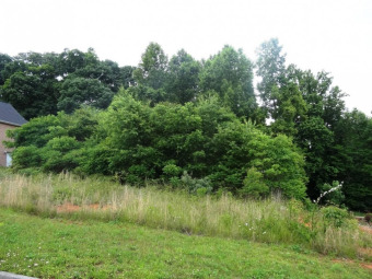 Lake Lot Off Market in Blountville, Tennessee
