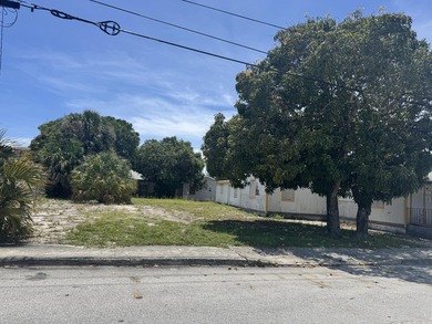 Rare redevelopment opportunity in the rapidly evolving Pleasant - photo 5