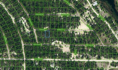 Lake Grassy Lot For Sale in Lake Placid Florida