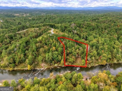 Lake Acreage For Sale in Ellijay, Georgia