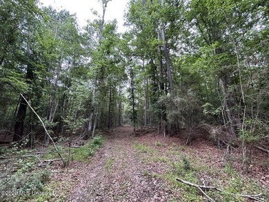 If you've been searching for a manageable hunting property with - photo 11