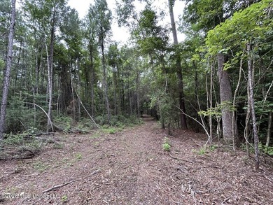 If you've been searching for a manageable hunting property with - photo 12