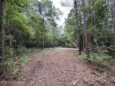 If you've been searching for a manageable hunting property with - photo 13