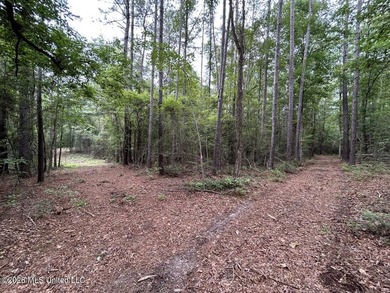 If you've been searching for a manageable hunting property with - photo 14