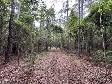 If you've been searching for a manageable hunting property with - photo 15
