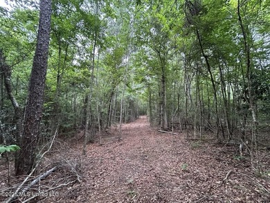 If you've been searching for a manageable hunting property with - photo 17