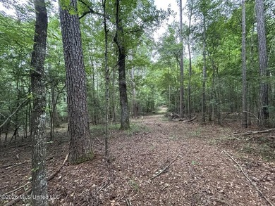 If you've been searching for a manageable hunting property with - photo 18