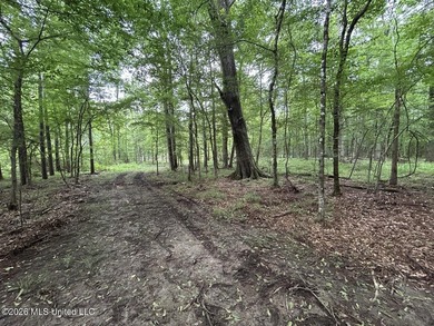 If you've been searching for a manageable hunting property with - photo 19