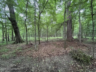 If you've been searching for a manageable hunting property with - photo 20