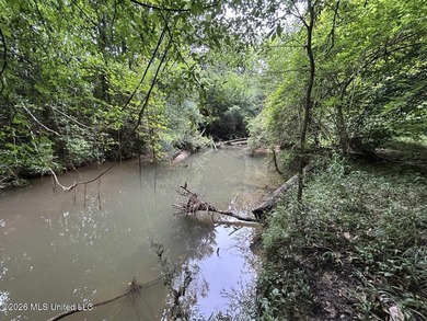 If you've been searching for a manageable hunting property with - photo 22