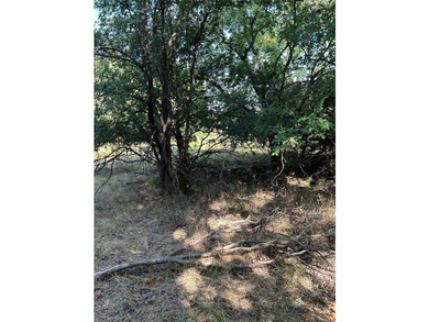 Own a piece of beautiful Texas country! This unique acreage in - photo 22