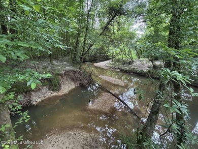 If you've been searching for a manageable hunting property with - photo 24