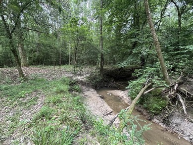 If you've been searching for a manageable hunting property with - photo 25