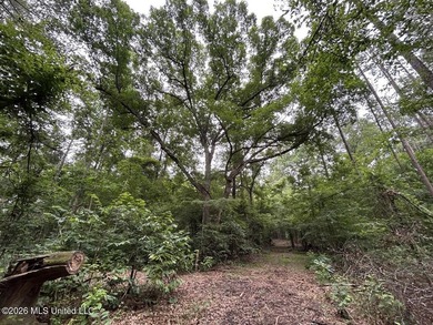 If you've been searching for a manageable hunting property with - photo 26
