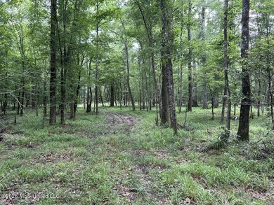If you've been searching for a manageable hunting property with - photo 27