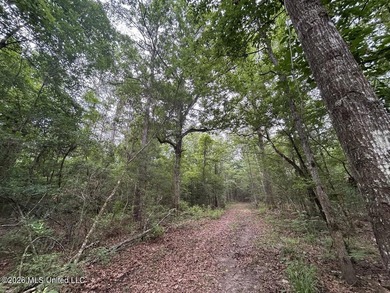 If you've been searching for a manageable hunting property with - photo 30