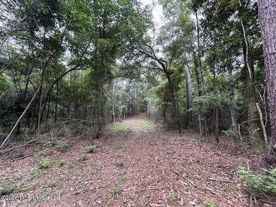 If you've been searching for a manageable hunting property with - photo 31