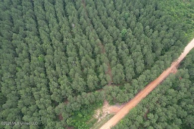 If you've been searching for a manageable hunting property with - photo 33