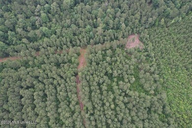 If you've been searching for a manageable hunting property with - photo 35