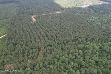 If you've been searching for a manageable hunting property with - photo 37